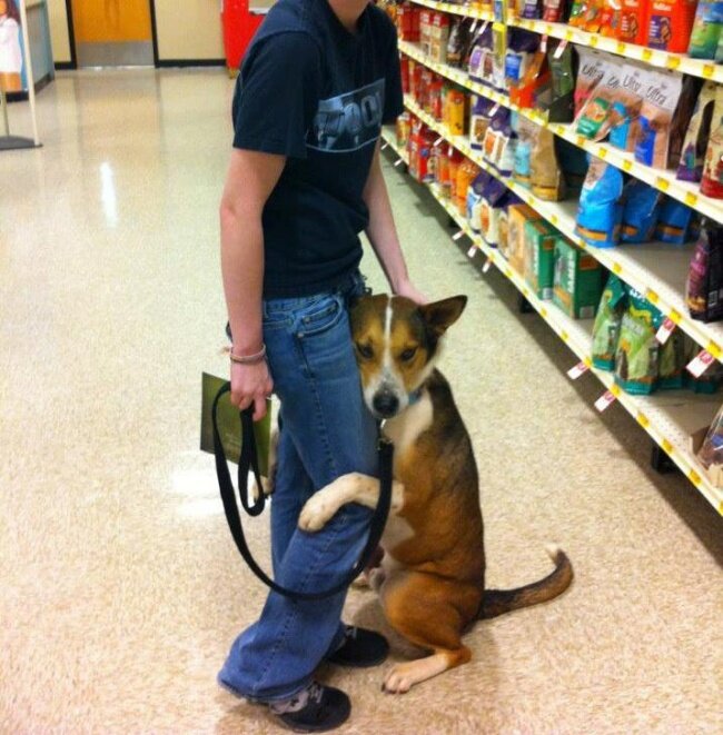 источник https://mtdata.ru/u13/photoD02F/20094076025-0/original.jpg