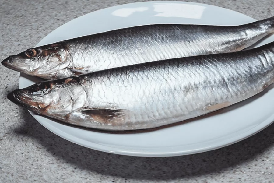 сельдь цвет. сельдь тихоокеанская олюторская. сардина черноморская. сельдь цвет. сельдь цвет.