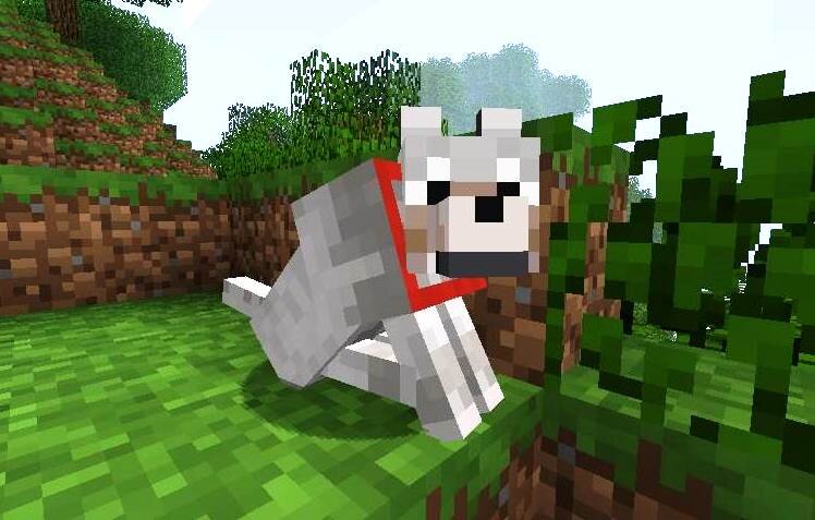 Как выглядит minecraft собака