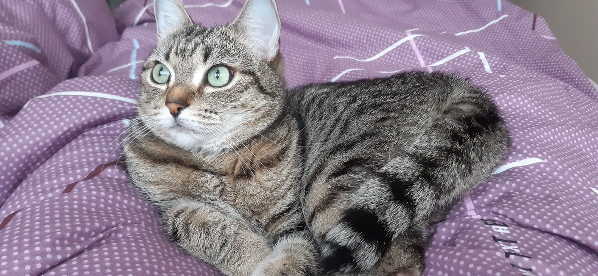 Шапка профиля должна цеплять☝️