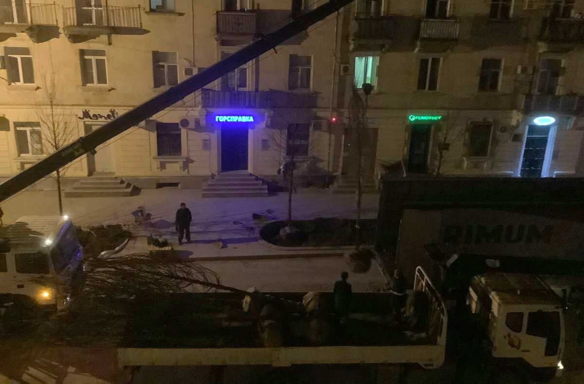 Фото: Елизавета Лукашина