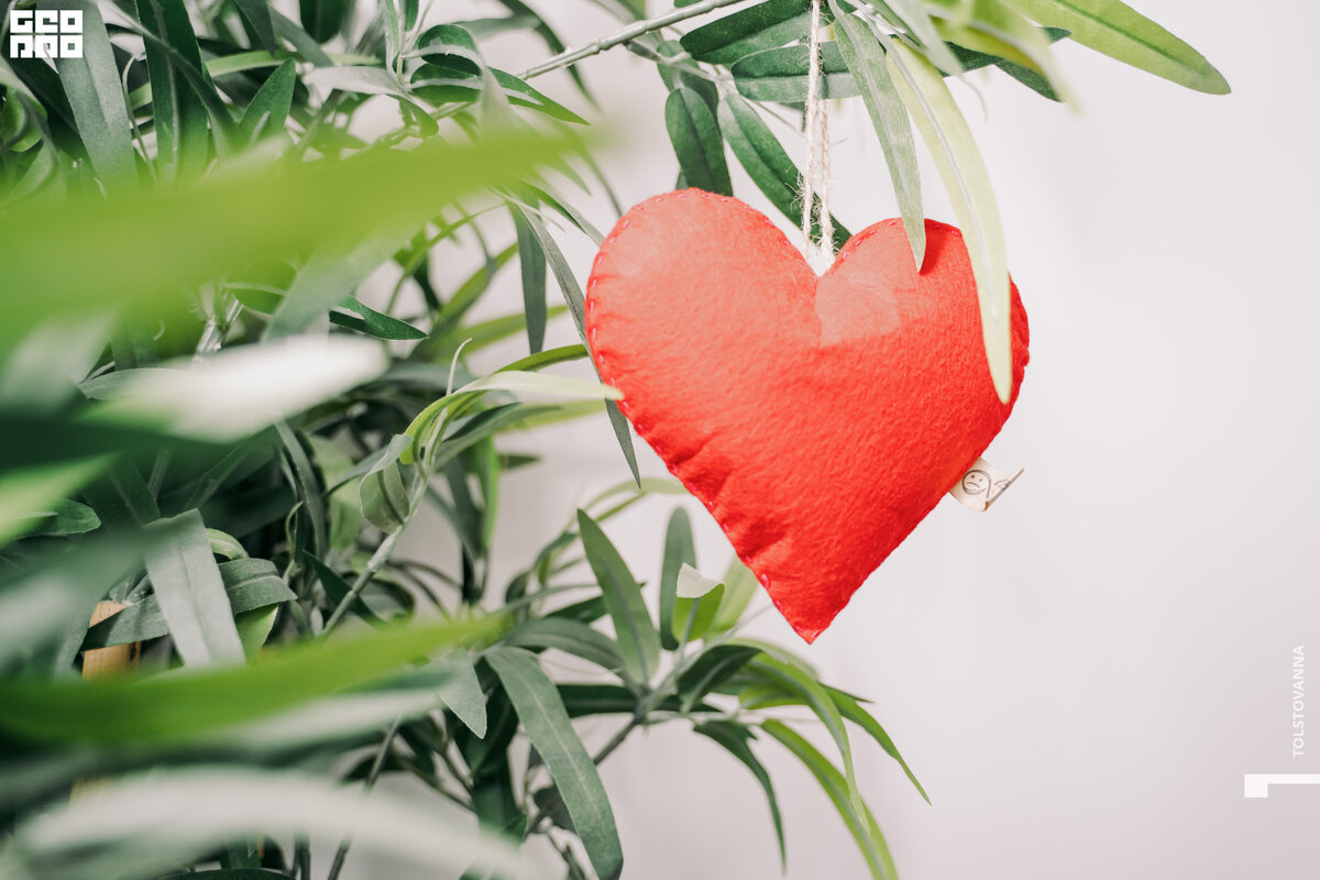 Фото из архива КЦ CARING