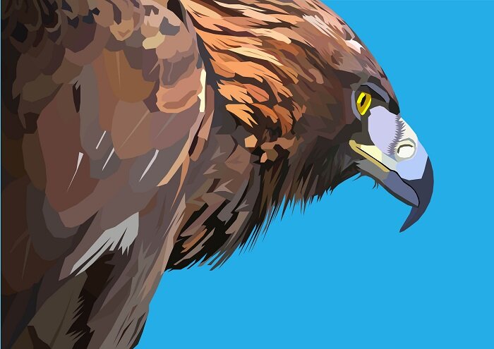 Орёл, ИвТан, 2019