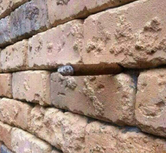 Что вы видите?