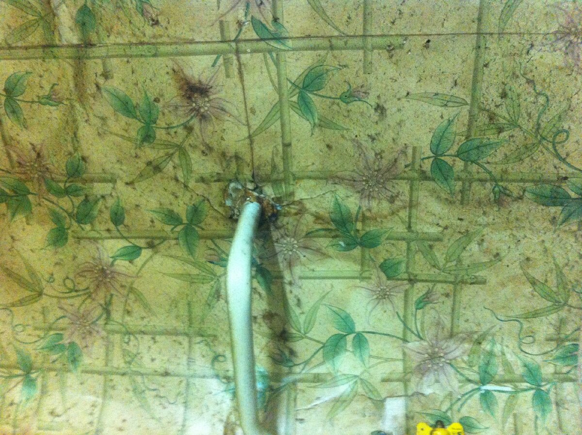 фото — личный архив