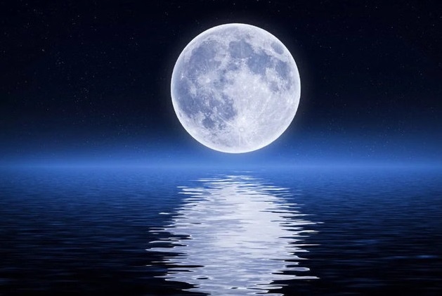 Фото носит иллюстративный характер