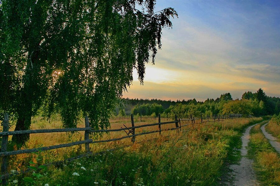 Фотография из открытых источников.