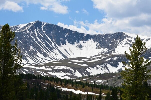 Автор — Татьяна Фатеева.