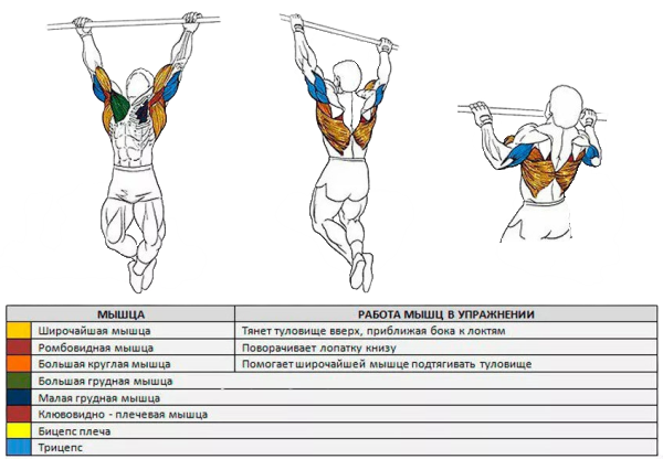 Скачано с открытого источника Яндекс.Картинки