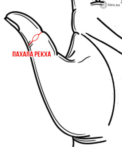 Рис. 1. Пхала-рекха