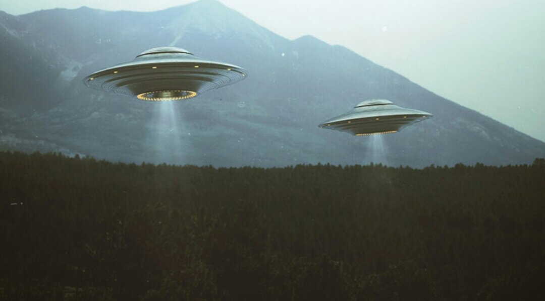 Фото из открытого источника.