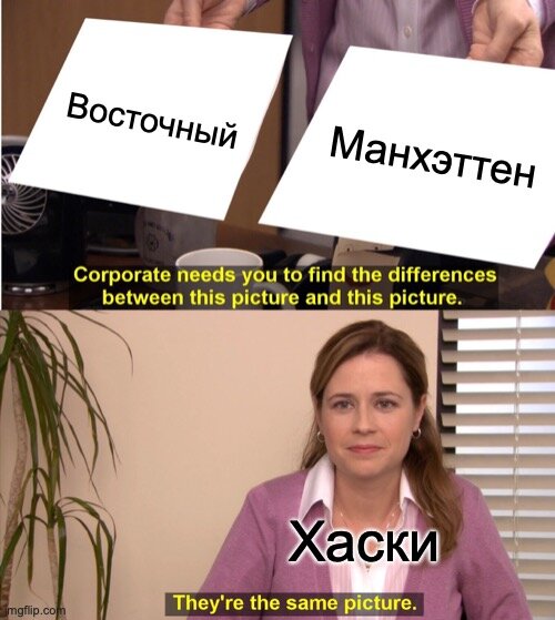 [2] - Восприятие Хаски