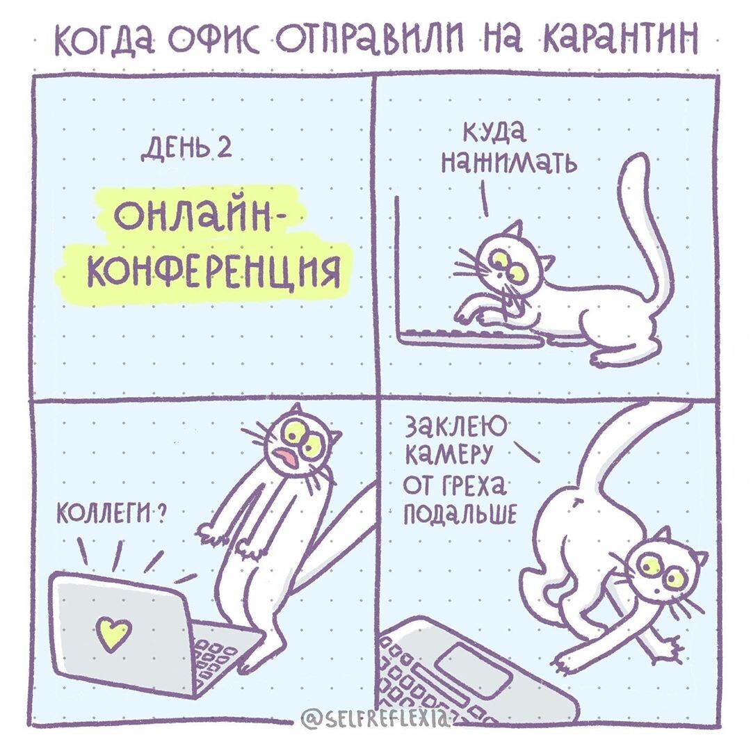 Автор Selfreflexia  