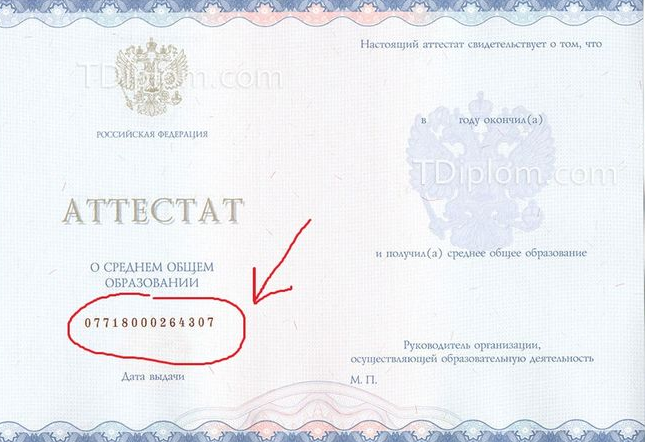 Как выглядит аттестат за 9 класс внутри и снаружи, изменился ли он в 2020г?