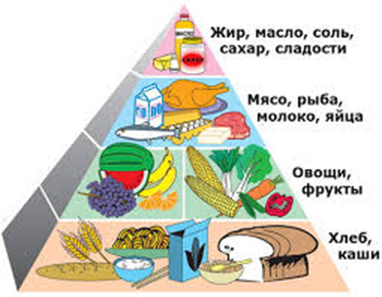 Пирамида питания. Эта схема висит в любом кулинарном колледже. От самых необходимых до того от чего можно обойтись - снизу вверх.