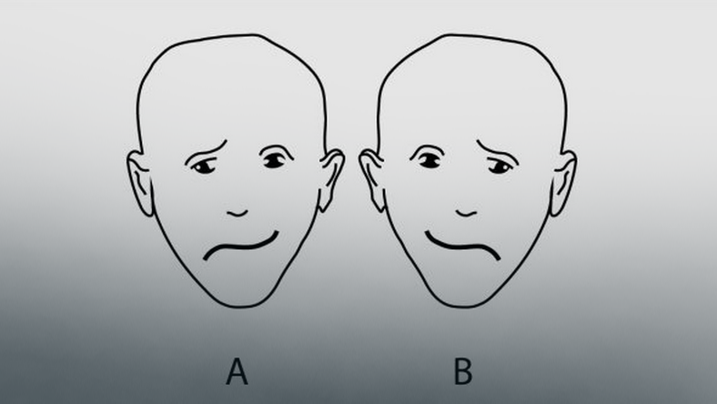 Какое лицо кажется более счастливым тест. Какое лицо ума. Местоимения 1 2 3 лица. Какое лицо ума. Таблица личные местоимения 4 класс.