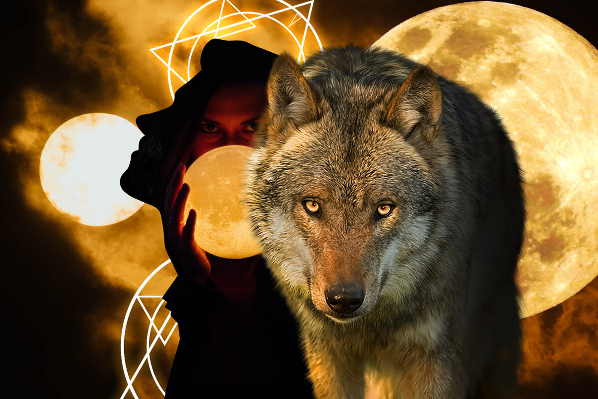 Арт-коллаж на основе фотографий chuttersnap, Himanshu kumar и Drew Tilk.