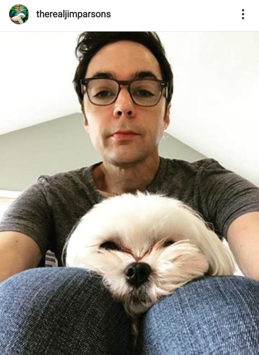 Собачка Парсонса