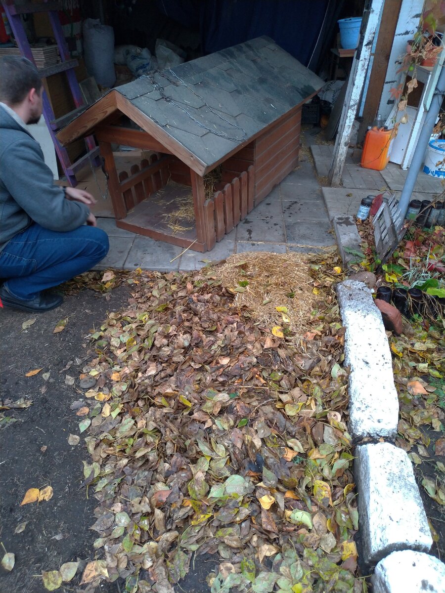 "Стёпа! Вылазь! Это не купейный вагон!"  