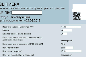 Электронный ПТС (выписка) © Фото с сайта elektronpts.ru