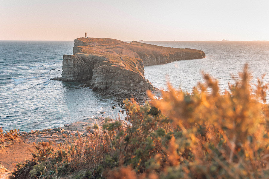 Фото: Shutterstock