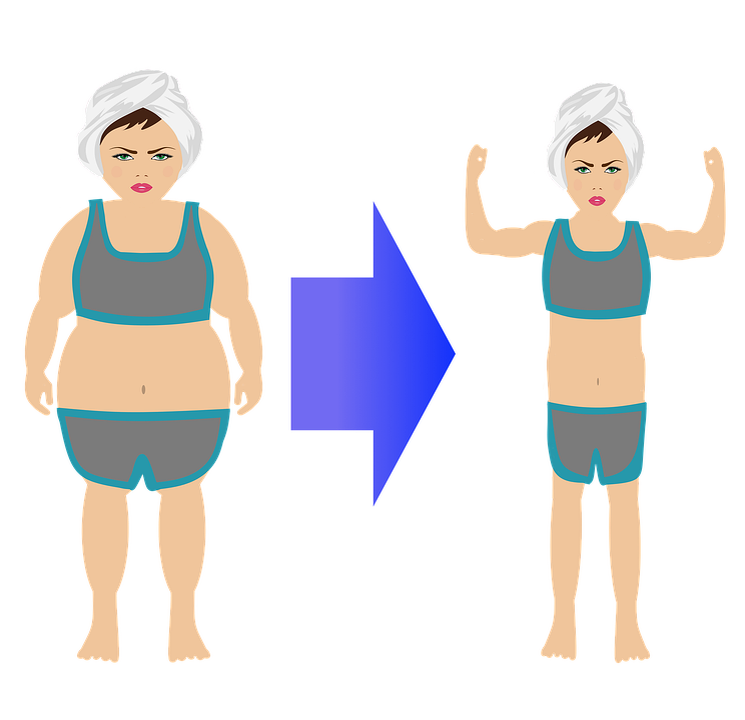 Фото с сайта pixabay.com