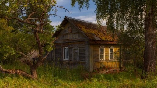 Заброшенная деревня Королёвка, Тамбовская область