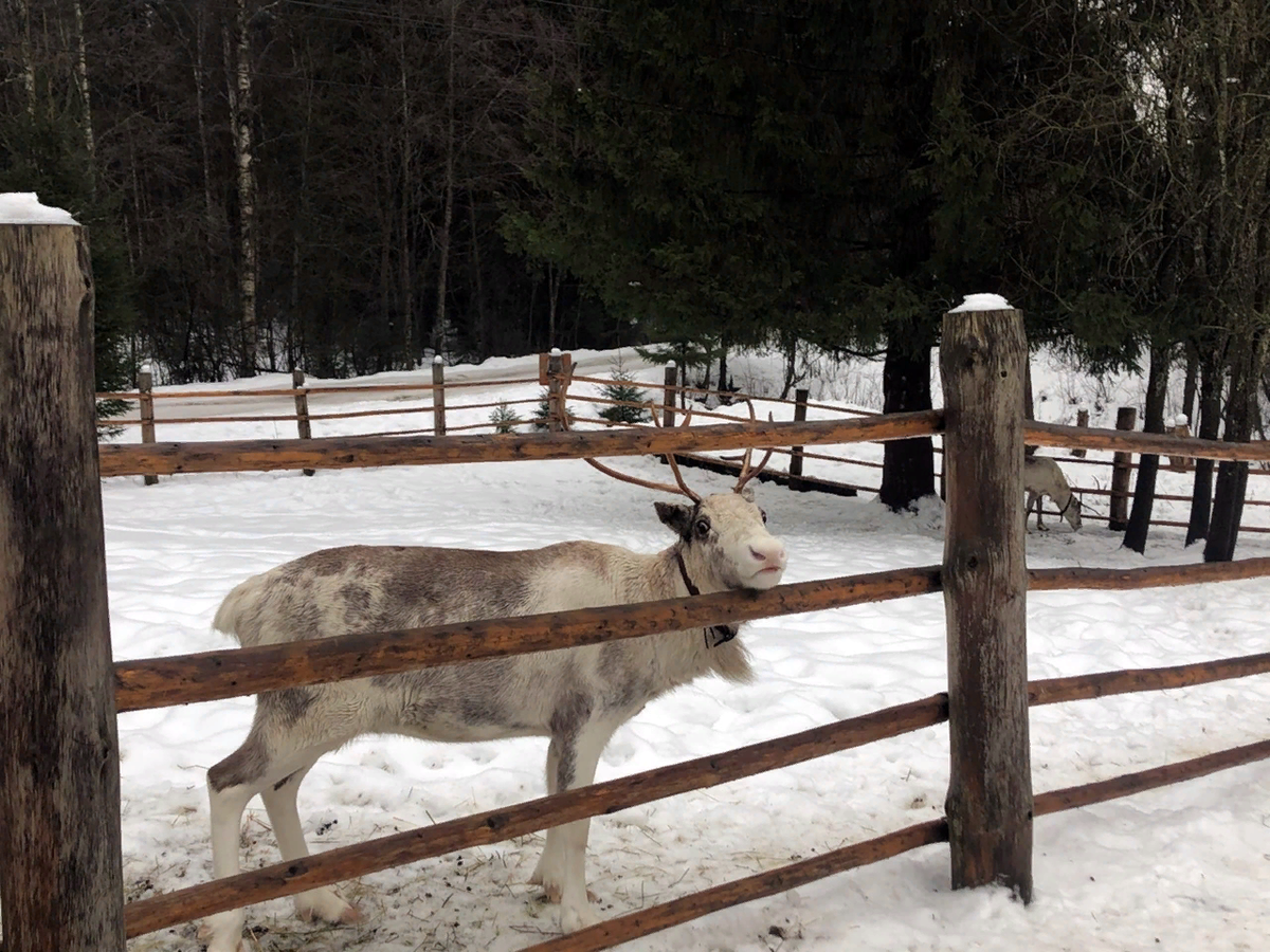                                  Не забудьте поставить лайк и подписаться на канал!