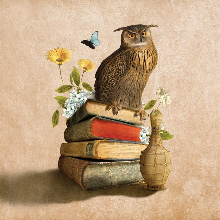 Источник: Яндекс. Картинки