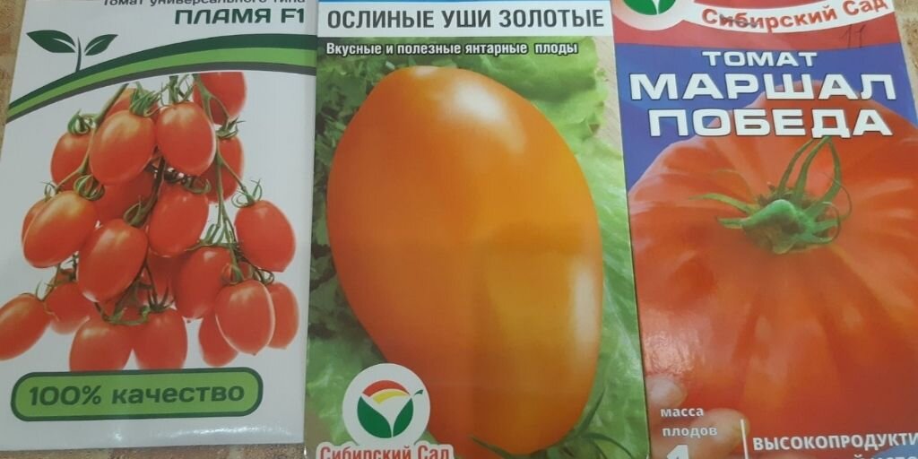 Скоро посадка томатов