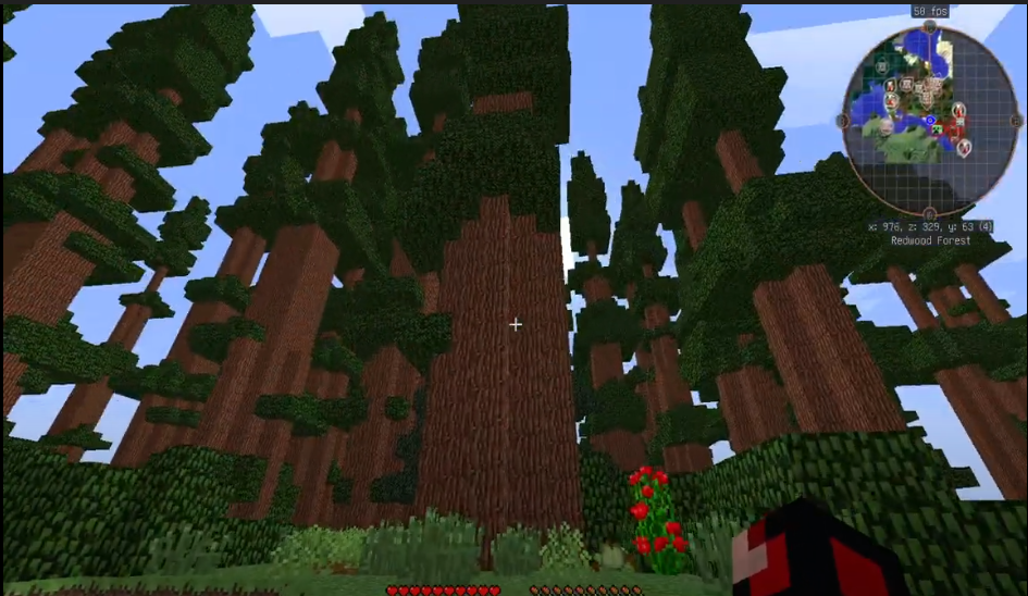 Красный лес