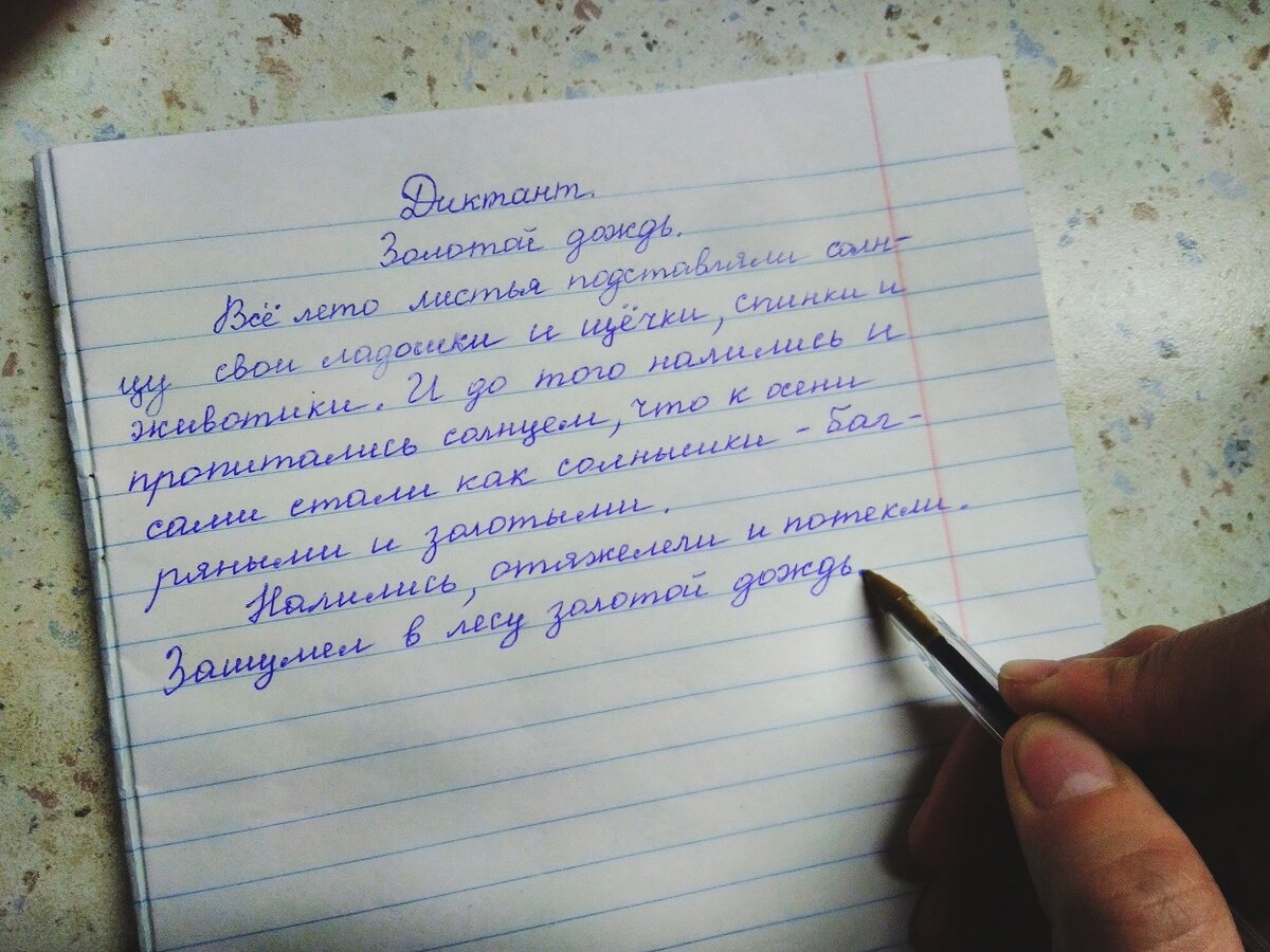 Почему я всегда даю диктанты повышенной сложности даже двоечникам. Какие у  них результаты к концу года | Заметки мамы-училки | Дзен