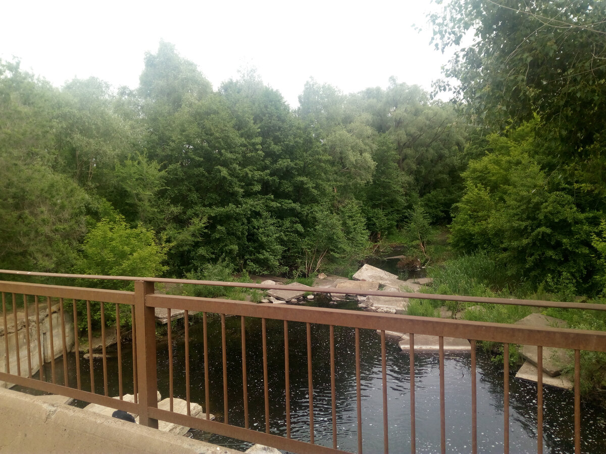 Из личных архивов