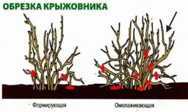 схема из интернета