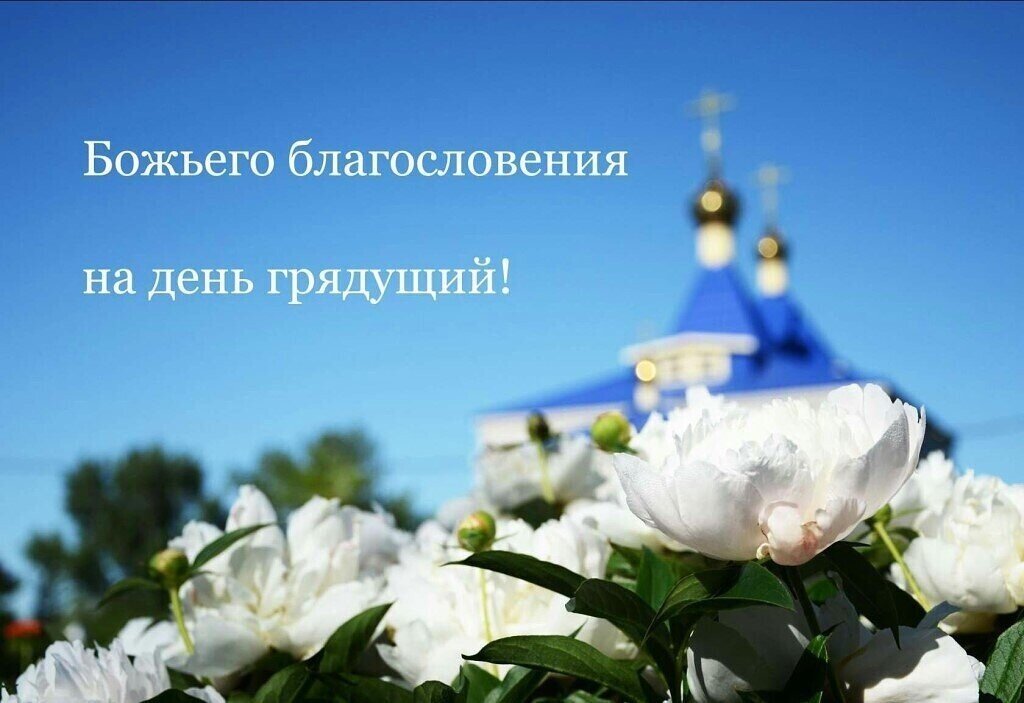 картинка из свободного доступа Яндекс-картинки