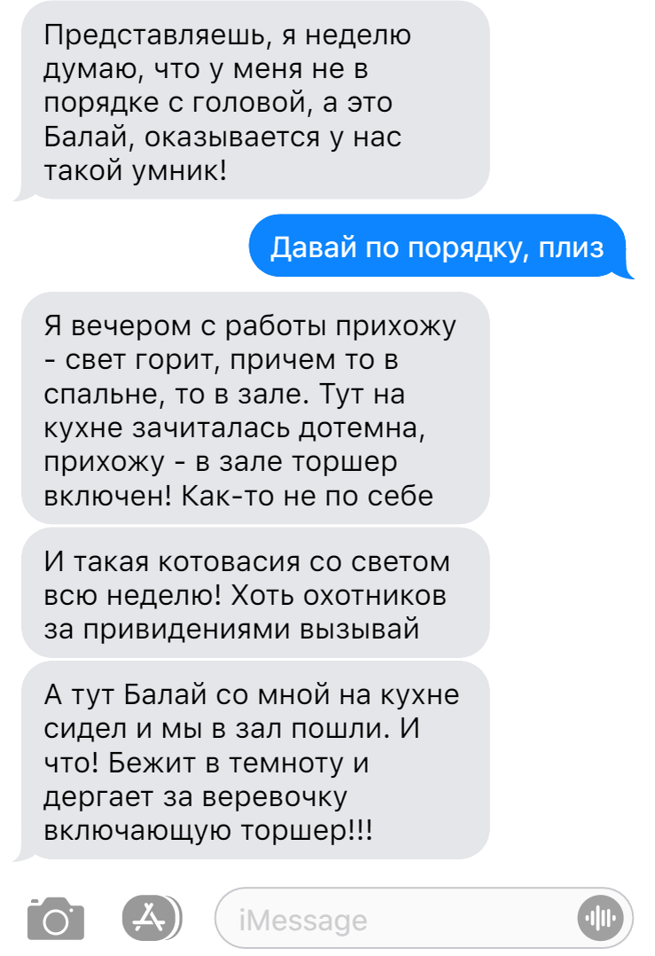 Записки ветеринара. Смешные переписки о необычных поступках собак | СобачьЯ  жизнь | Дзен