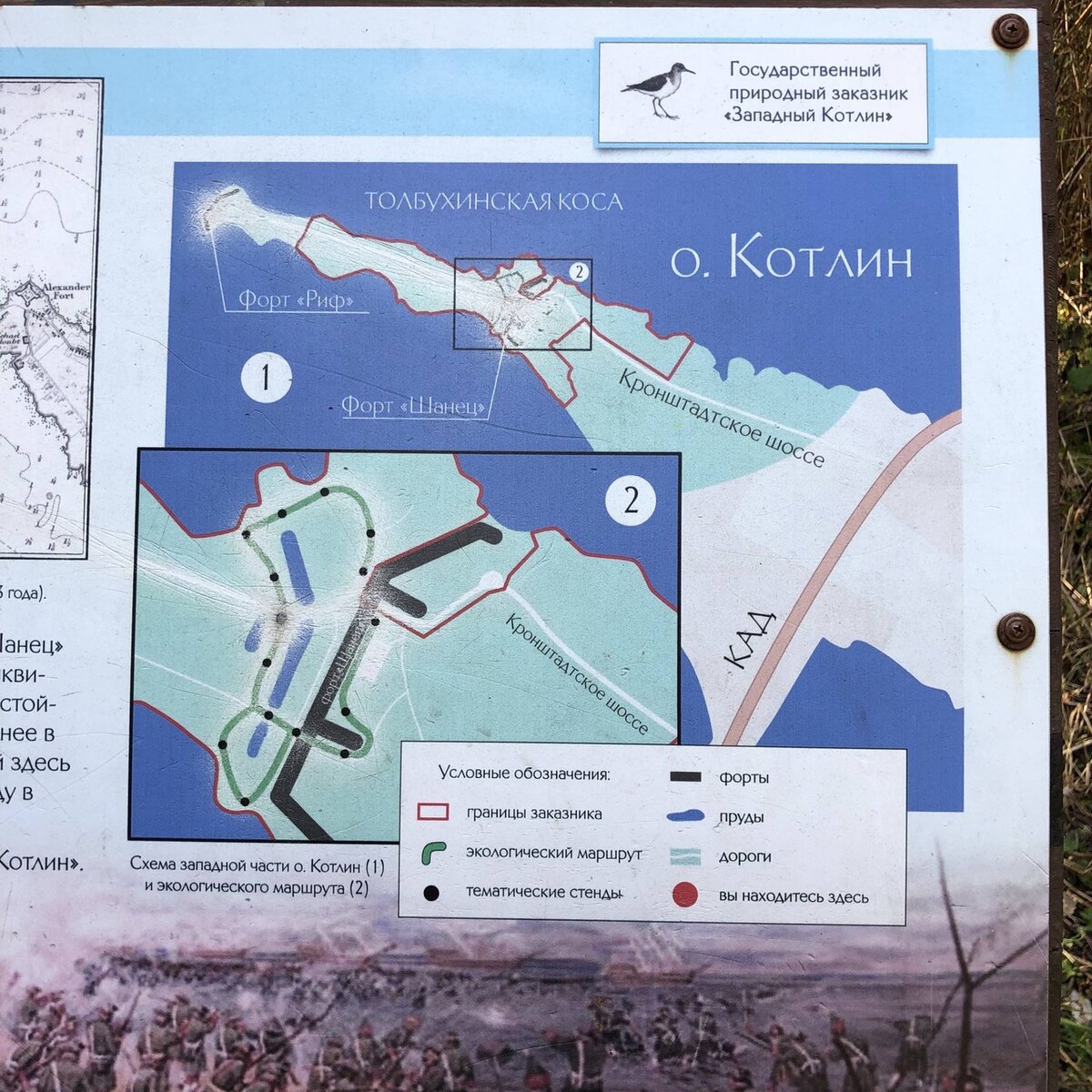 Кронштадт как доехать. Форт риф. Форт риф в Кронштадте. Форт риф автобус. Глубины вокруг Кронштадта.