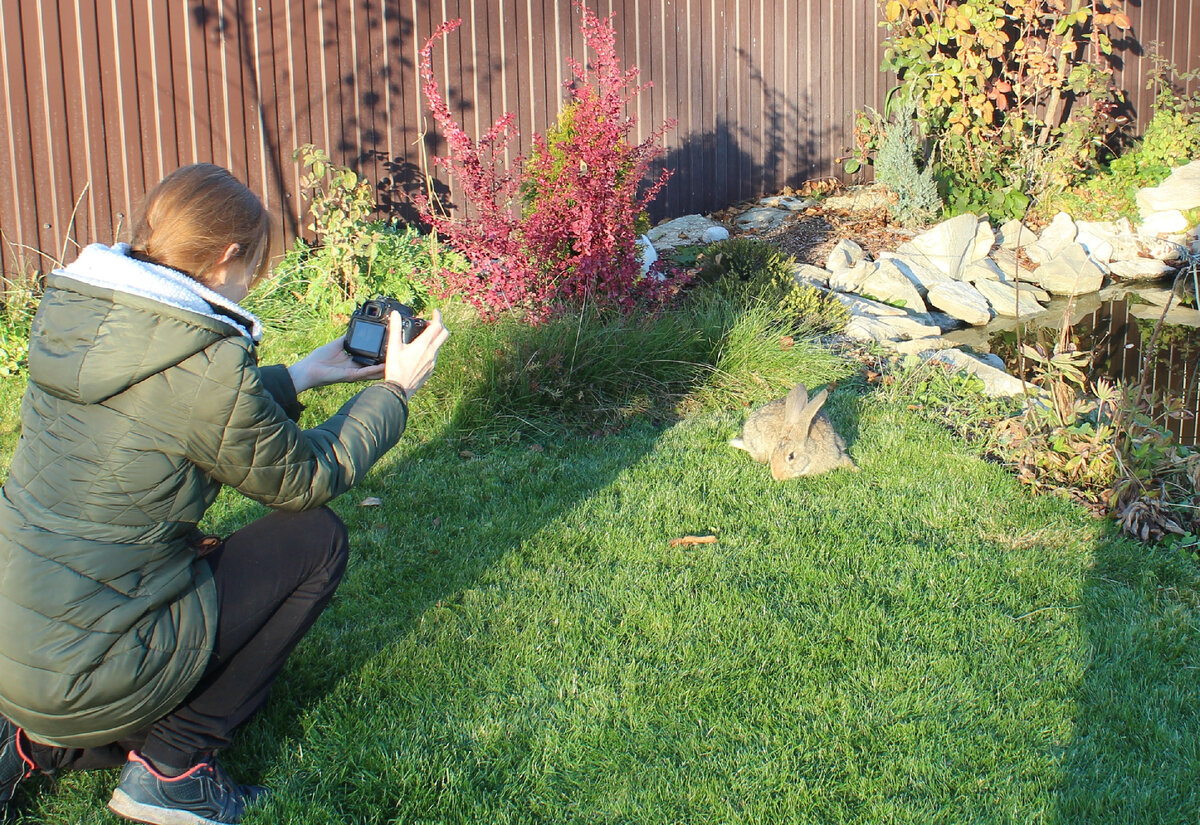 Тем временем на лужайке