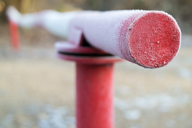 Фото: pixabay.com