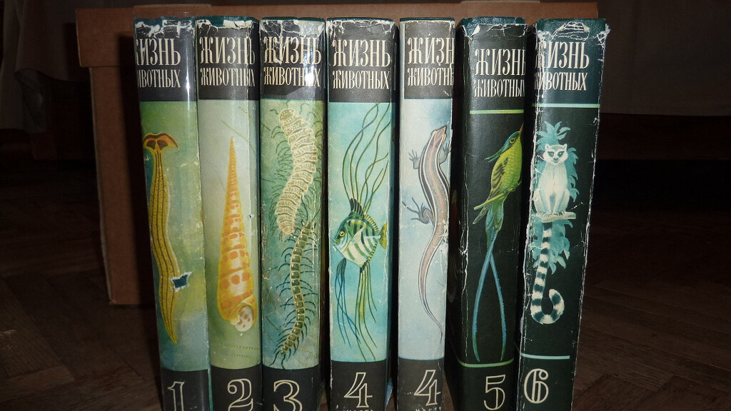 Москва 7 томов. Жизнь животных Зенкевич. Жизнь животных 7 томов 1968. Жизнь животных 6 томов. Жизнь животных энциклопедия в 6 томах.