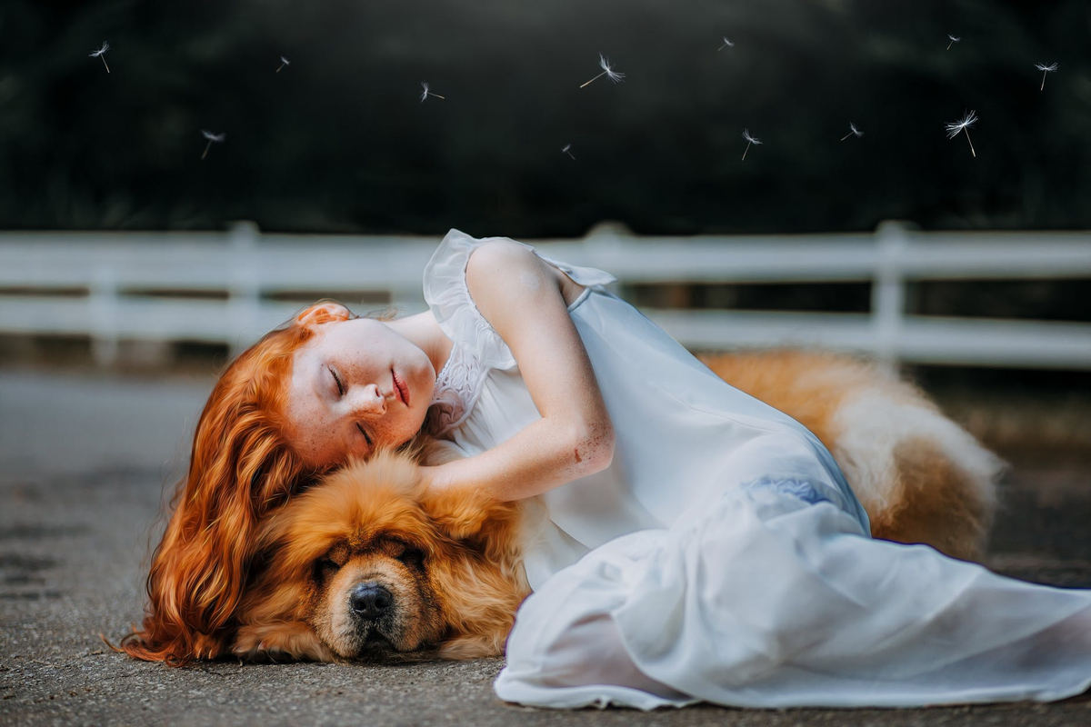 Фото: https://www.pexels.com/ru-ru/@bertellifotografia