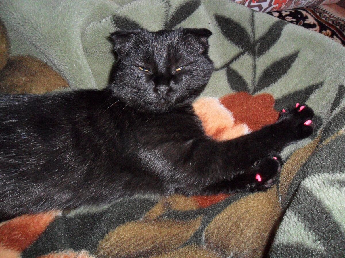 А это моя любимая девочка, которая нас покинула.