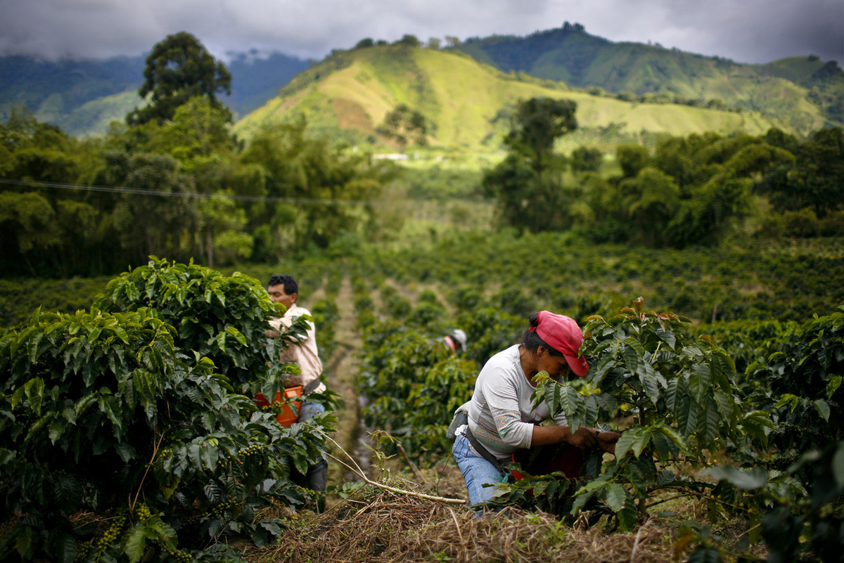 Coste de la vida en colombia