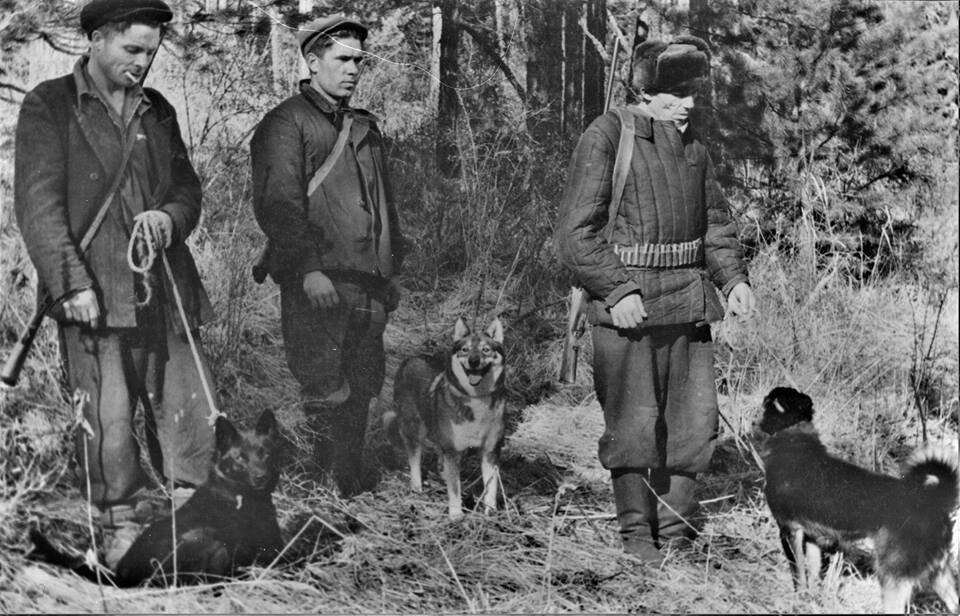 Наследник с меткой охотника. Иван Павлович Богачев тигролов. Советский охотник. Охота в СССР. Старинный охотник.