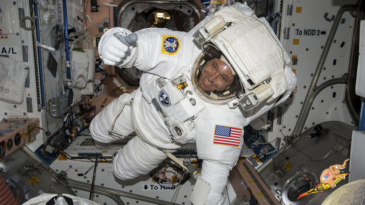 Репортаж с МКС: астронавт Раджа Чери радуется - впервые за восемь лет он видит перед собой новых людей!