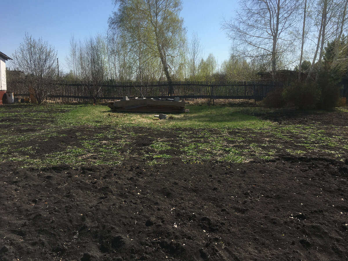 Фото с нашего участка, весна 2020