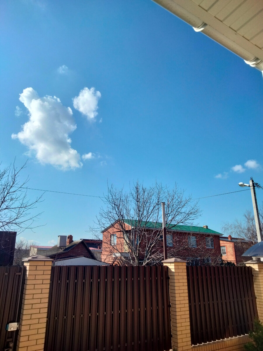 Утро 05.04.2022, в 9.20 