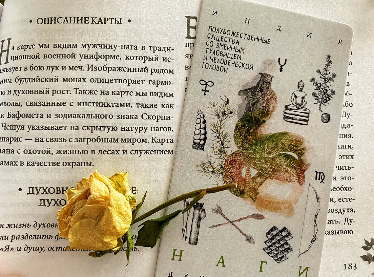 #таро #эзотерика #атмосфера #уют 