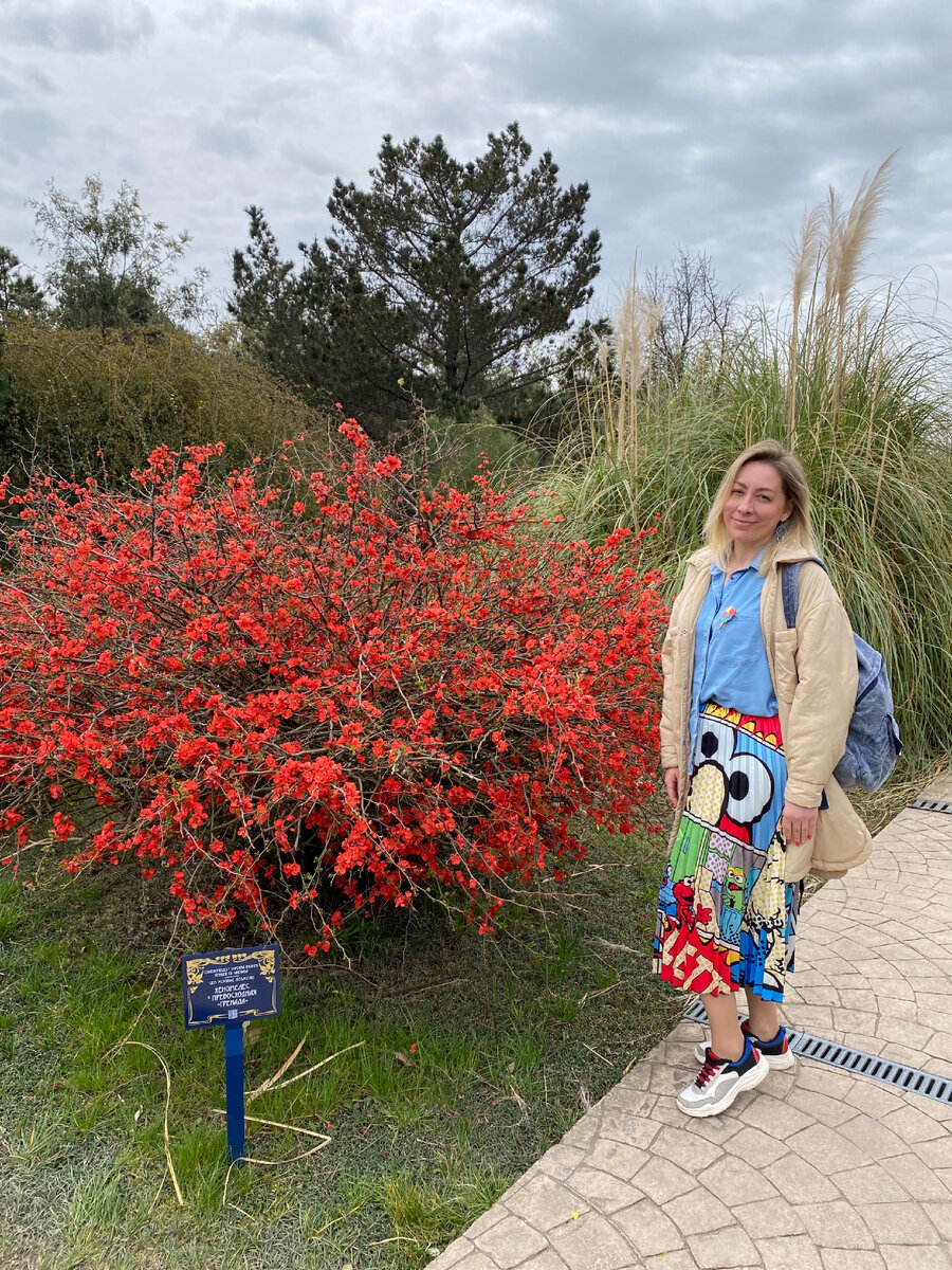 Фото автора. Цветущие деревья похожи на яркие вспышки 