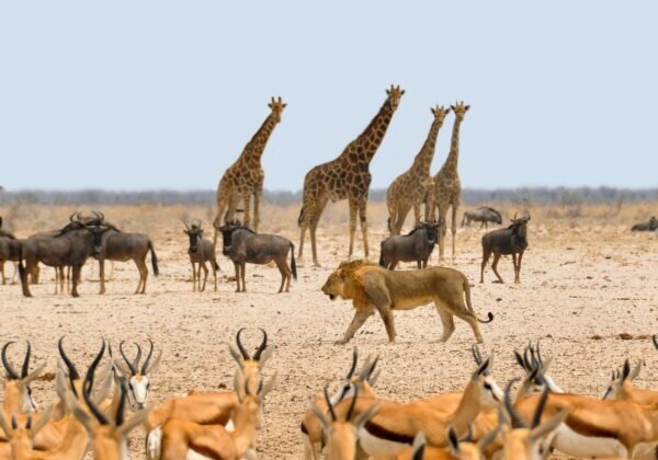    Фото: pixabay.com